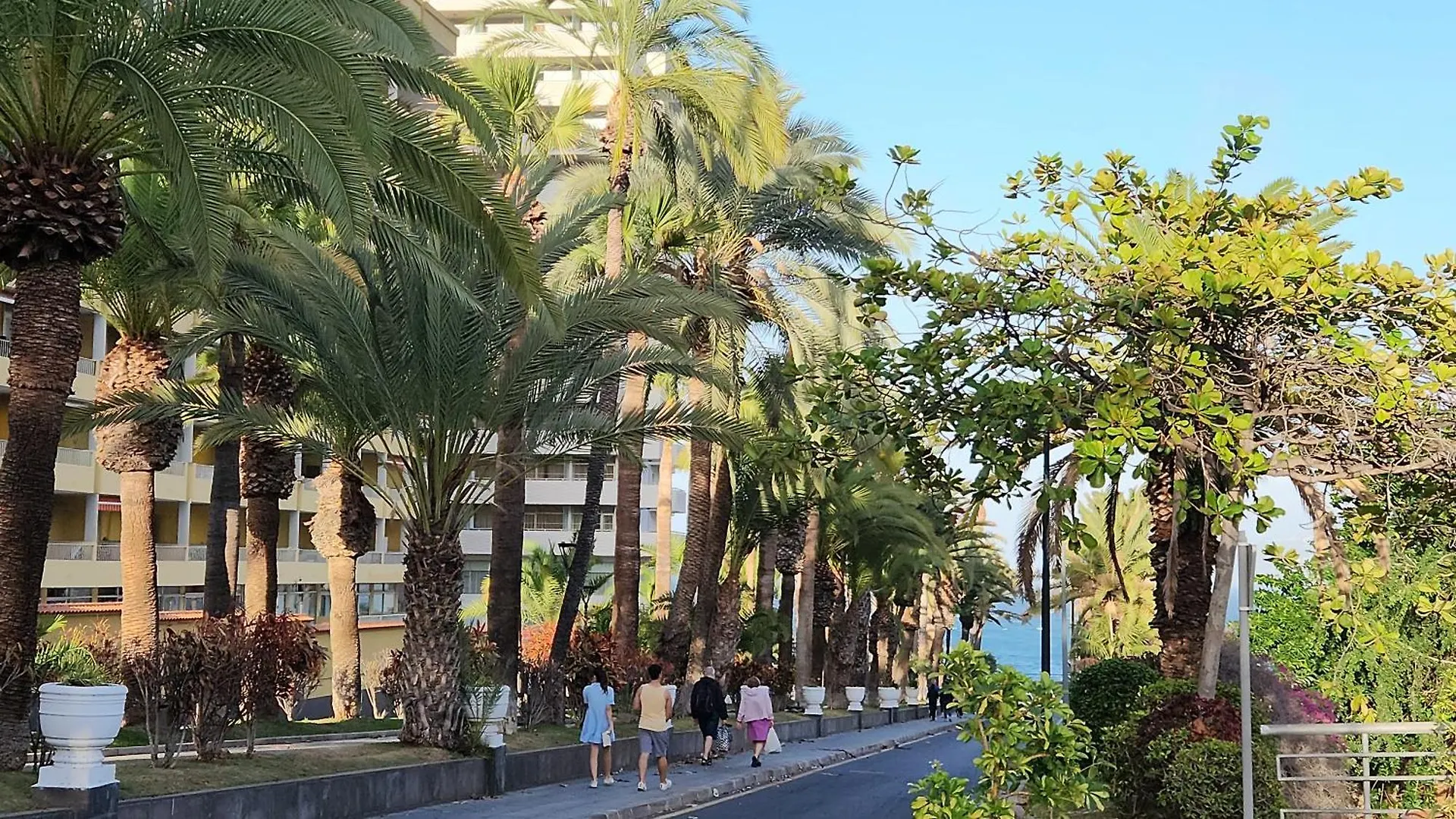 Ocean Dream Escape Apartment Puerto de la Cruz  0*, Puerto de la Cruz (Tenerife) Spain