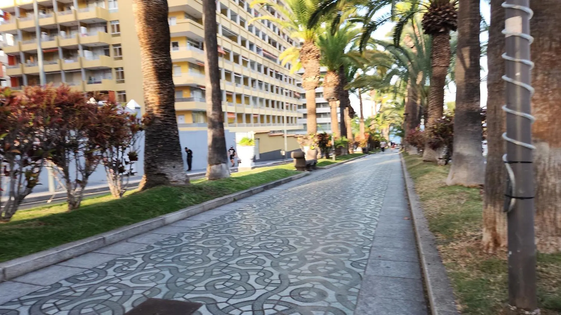 Ocean Dream Escape Διαμέρισμα Πουέρτο Ντε Λα Κρουζ